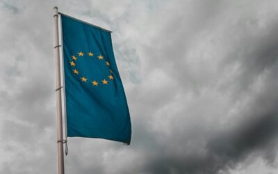 AI and GDPR: EU data protectionists agree on rules